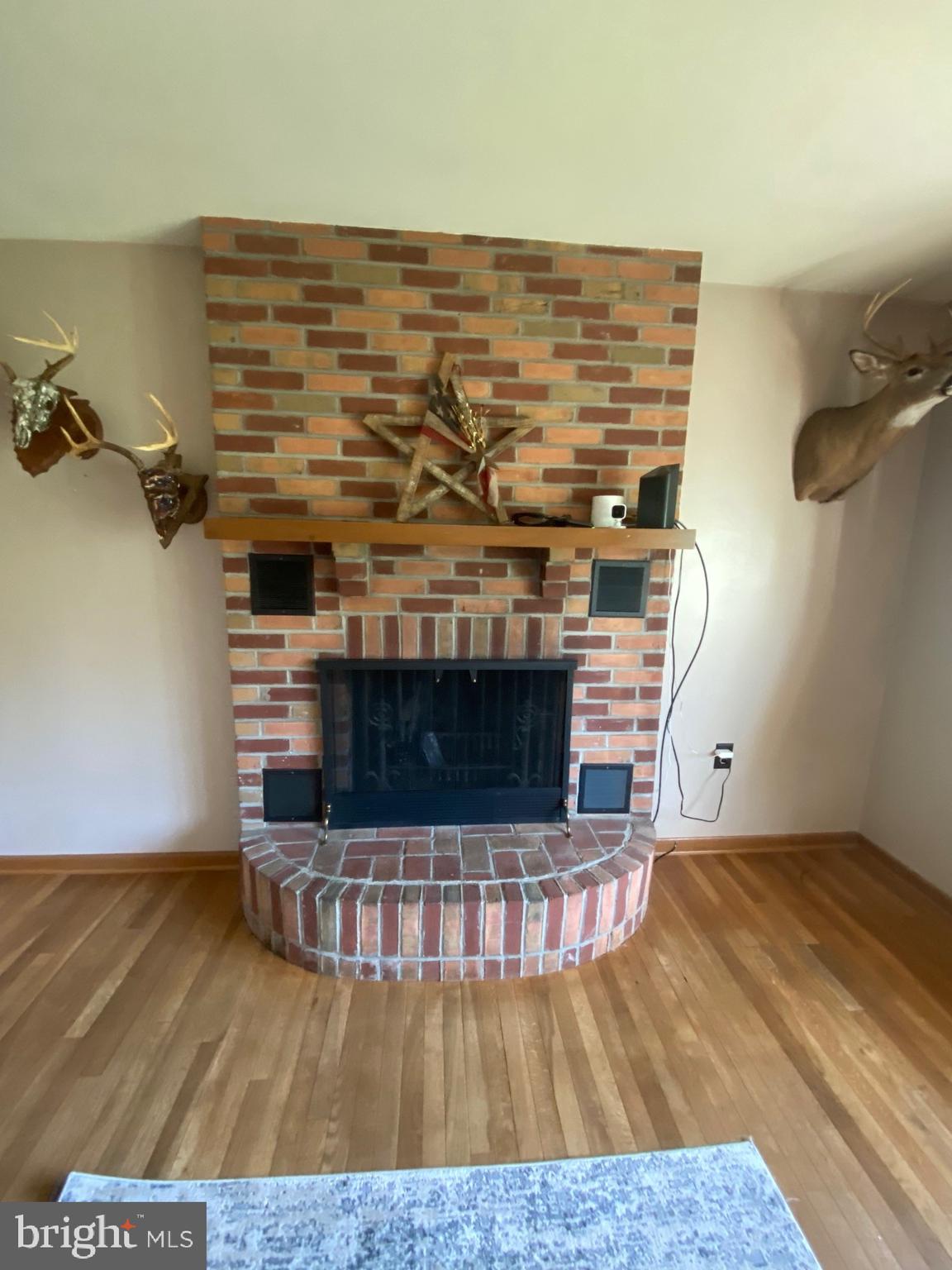 490 Snyder Road Reading, PA 19605 - Photo 3 of 32 Fireplace