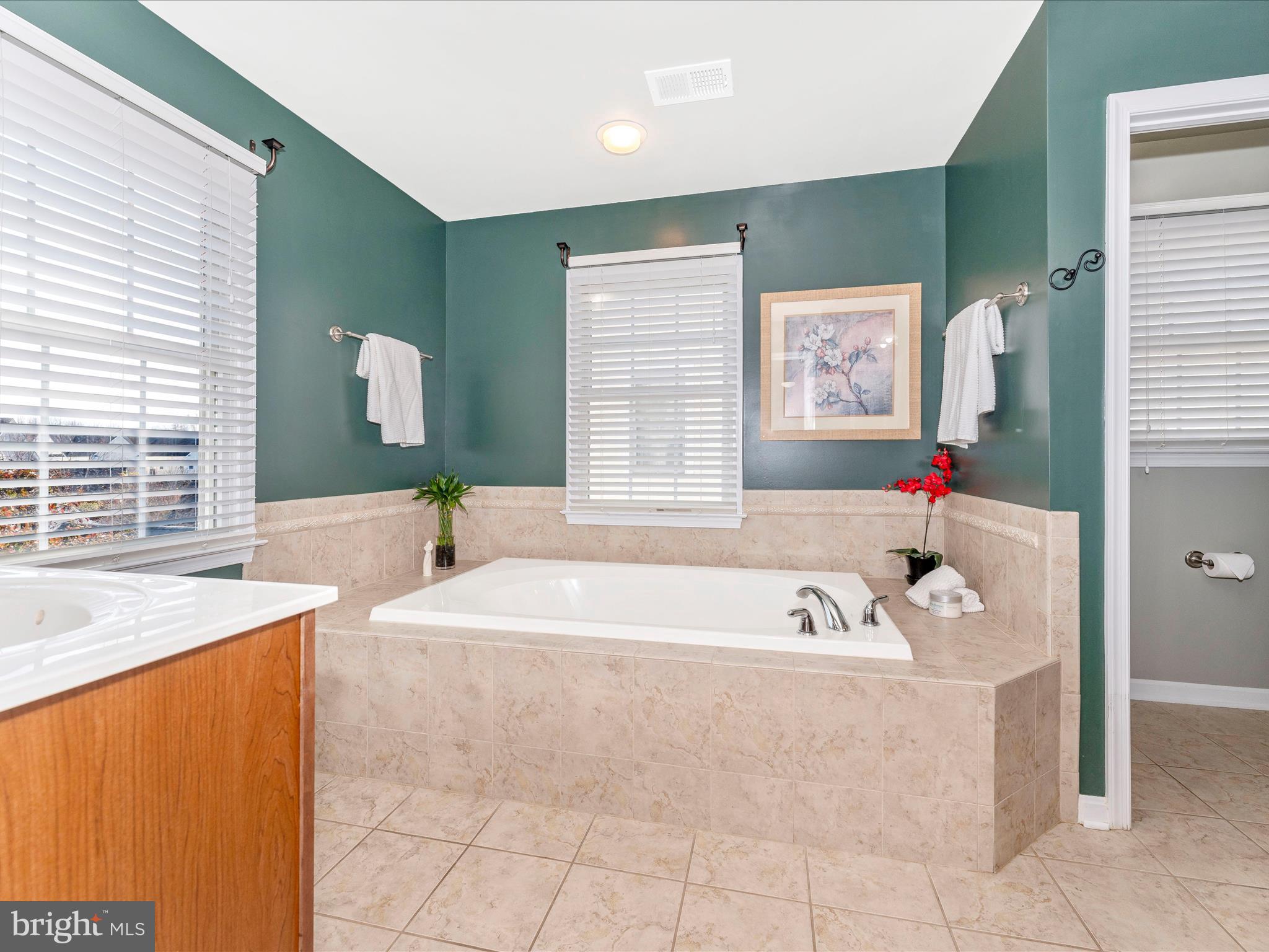 3925 Addison Woods Road Frederick, MD 21704 - Photo 29 of 90 Primary Bathroom