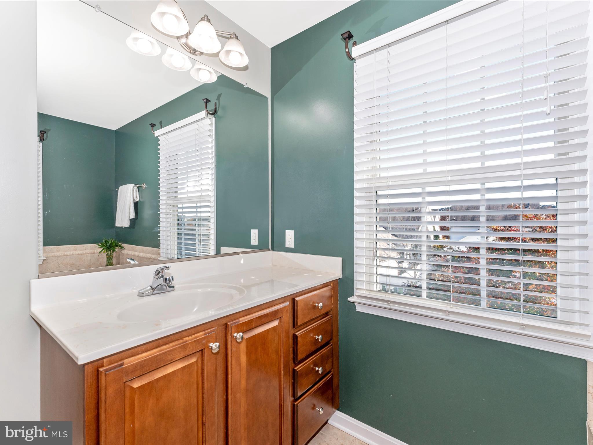 3925 Addison Woods Road Frederick, MD 21704 - Photo 30 of 90 Primary Separate Vanities