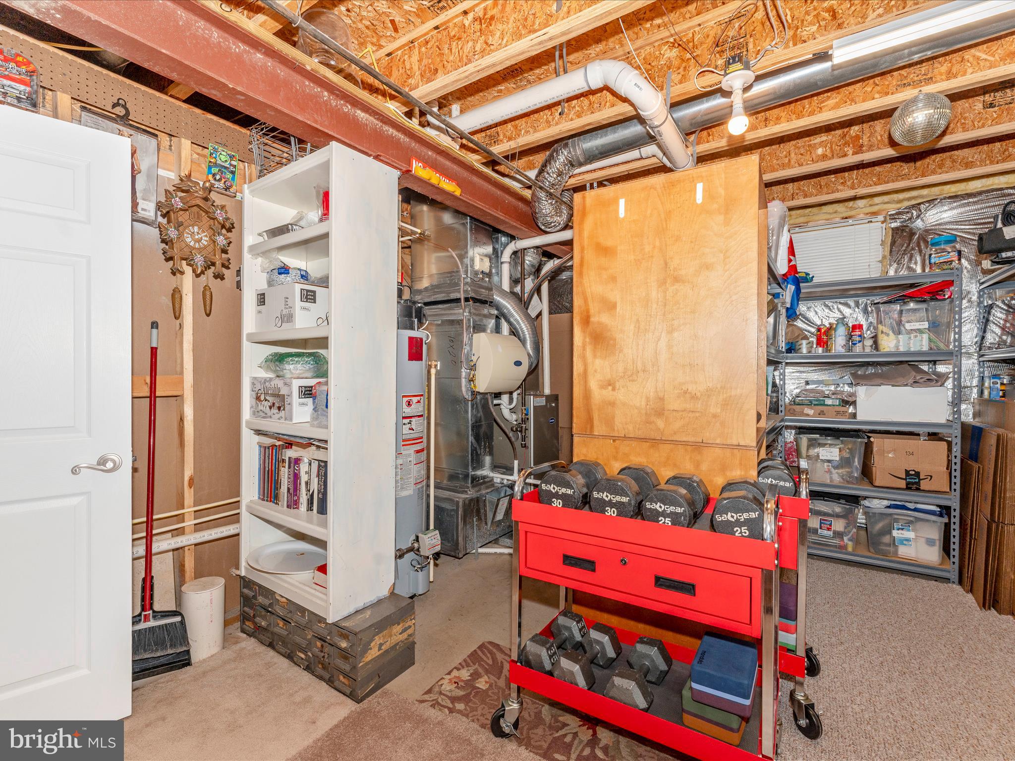 3925 Addison Woods Road Frederick, MD 21704 - Photo 46 of 90 Utility & Storage Room