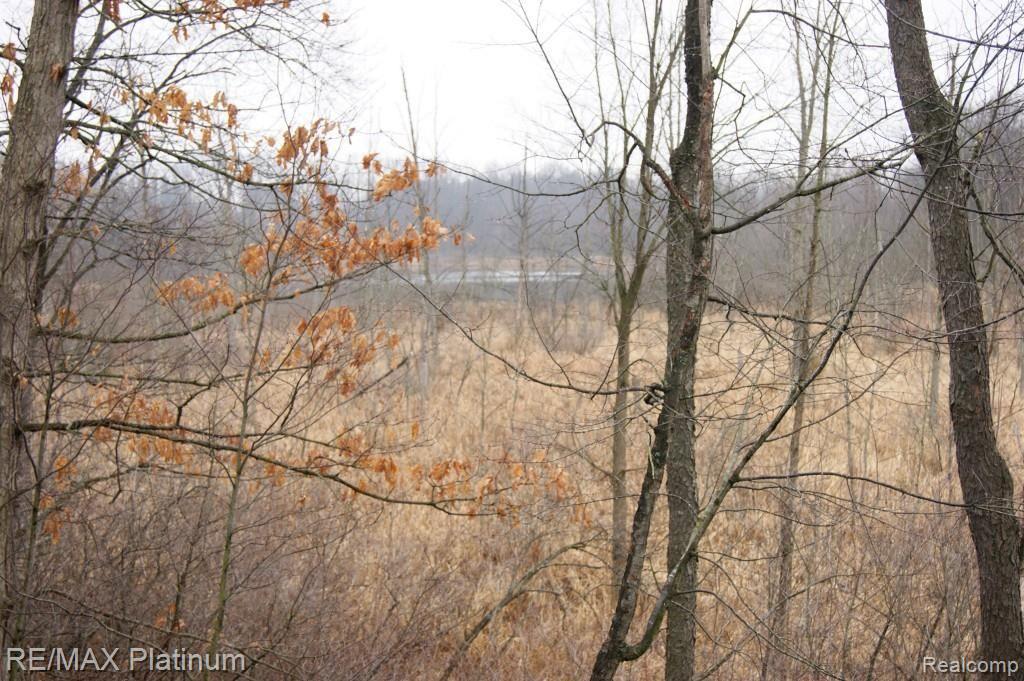 7117 North Fleming Road Fowlerville, MI 48836 - Photo 89 of 97