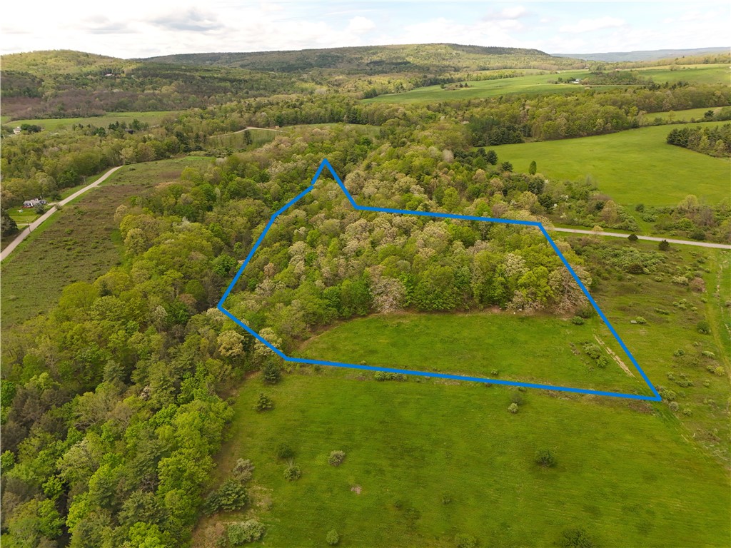 0 Middle Road Hammondsport, NY 14840 - Photo 6 of 20