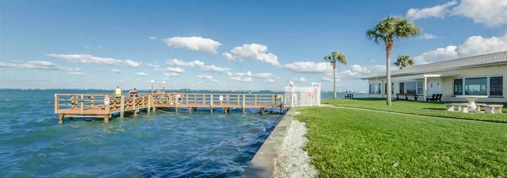 7 Elgin Place, Unit 301 Dunedin, FL 34698 - Photo 27 of 35 a view of a house with backyard and sitting area