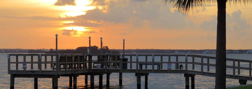 7 Elgin Place, Unit 301 Dunedin, FL 34698 - Photo 28 of 35 a view of a balcony with a garden