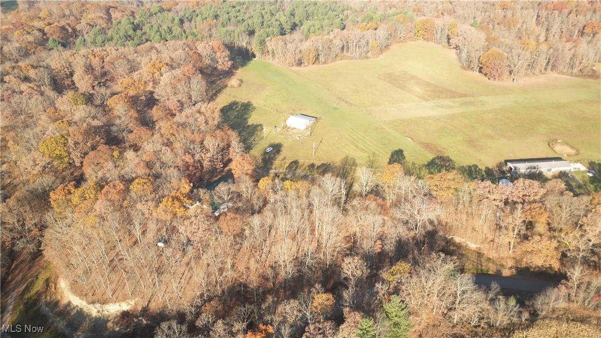 Clarks Mill Road Road Salineville, OH 43945 - Photo 5 of 11