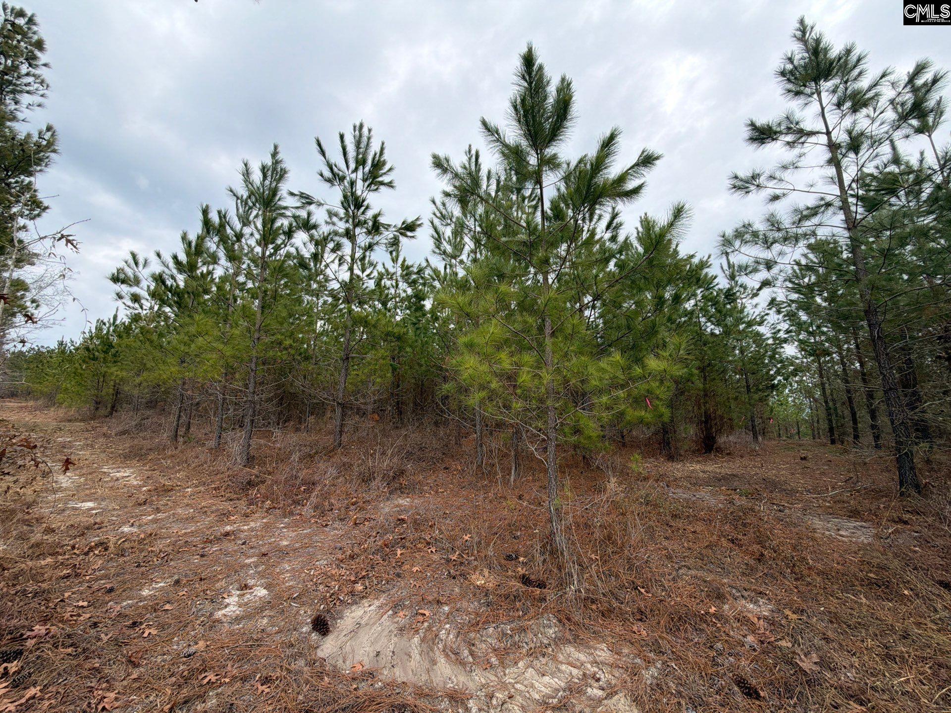 3 Jc Barefoot Road, Unit BFF II 3 Patrick, SC 29584 - Photo 20 of 23