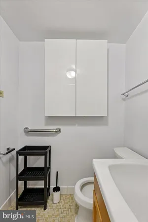 a bathroom with a sink a toilet and a vanity