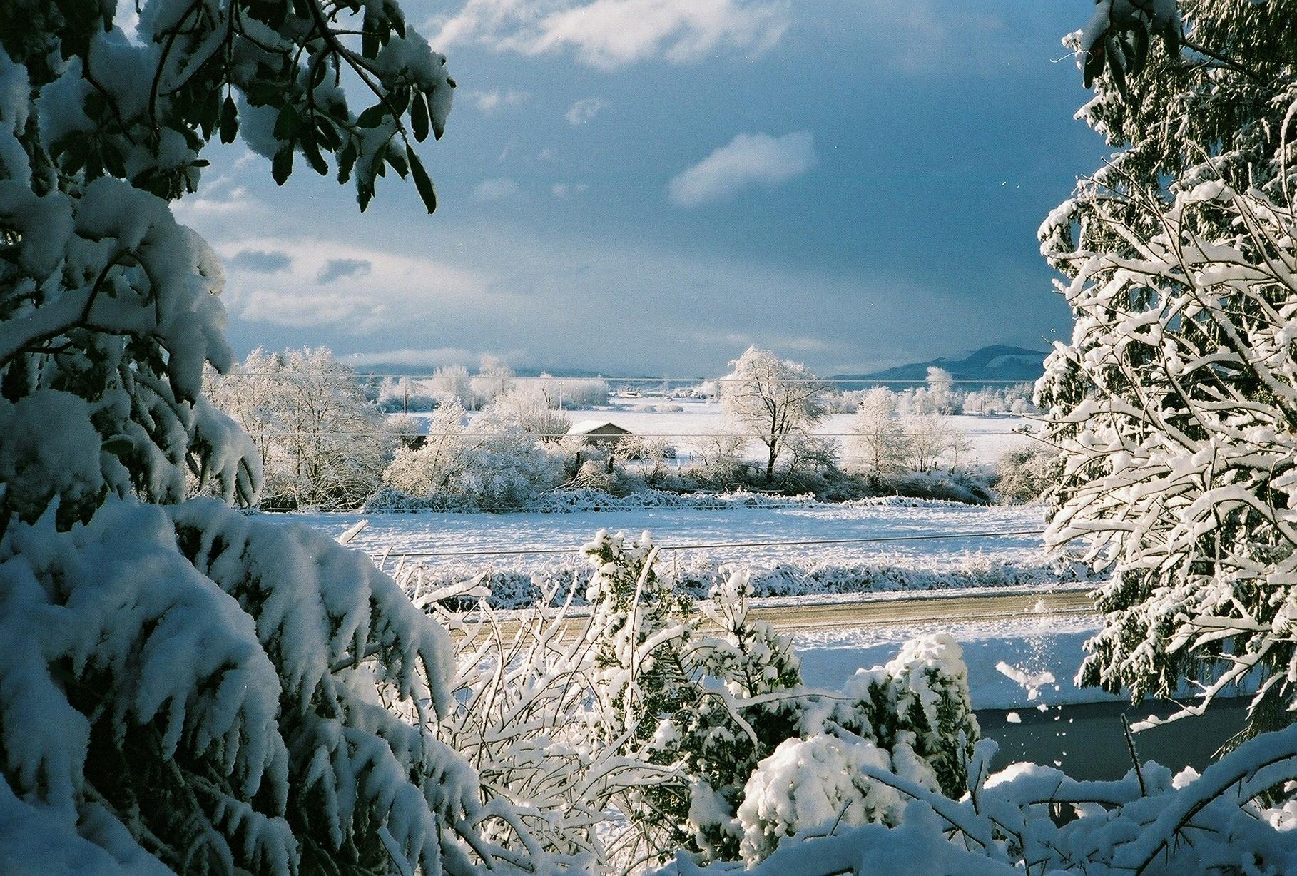 4420 Latimer Road North Tillamook, OR 97141 - Photo 44 of 46 Winter Wonderland View
