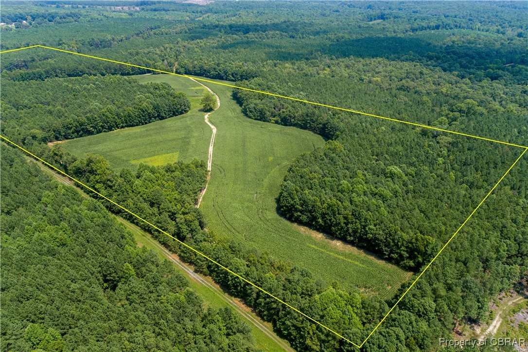 0 County Line Road Saluda, VA 23149 - Photo 28 of 36 Gallery Image 28