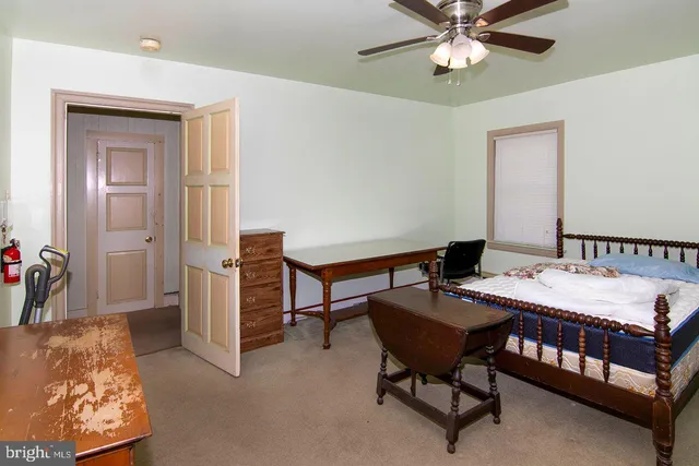 a view of path along with trees