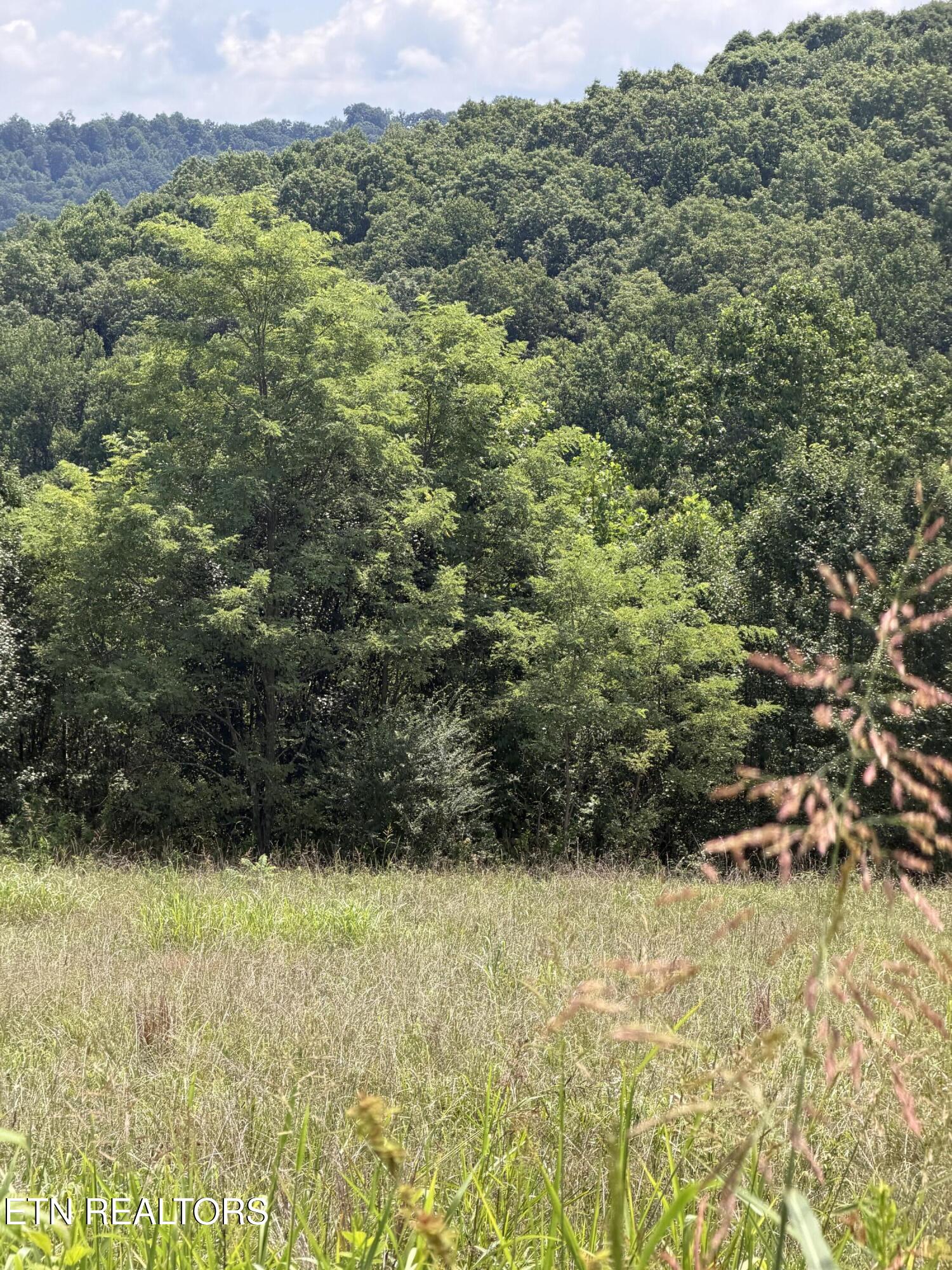 Iron Works Road Harrogate, TN 37752 - Photo 2 of 6 IMG_1013 (1)