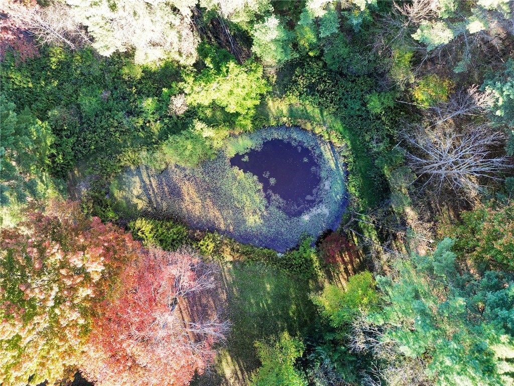 216 Opperman Road Butternuts, NY 13843 - Photo 36 of 50 Aerial view of the pond