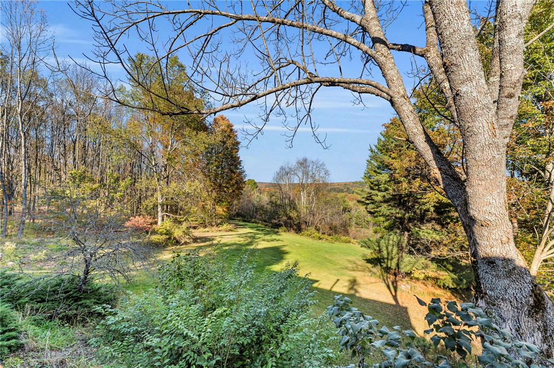 216 Opperman Road Butternuts, NY 13843 - Photo 38 of 50