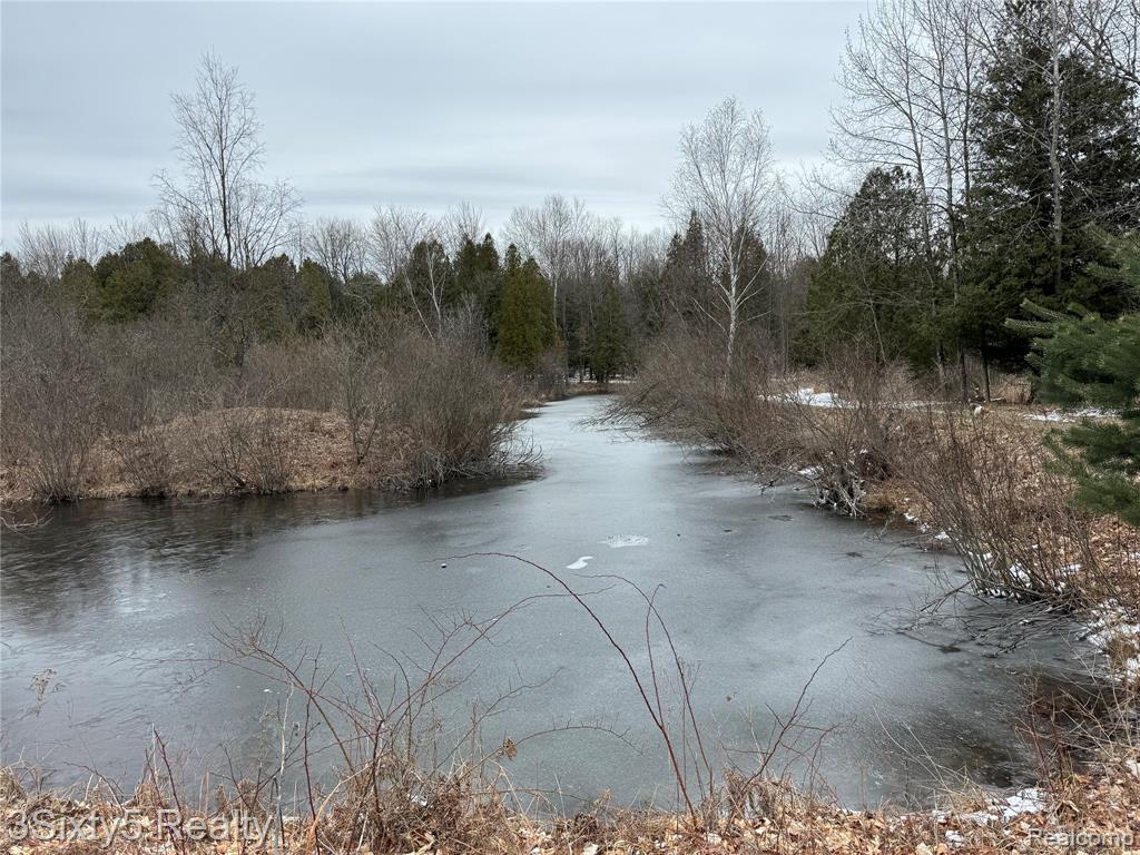 7710 West 10 Mile Road Bitely, MI 49309 - Photo 6 of 11