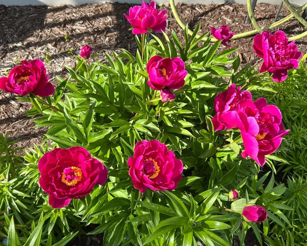 $541,000 | 12615 South Abbey Lake Lane, Detroit Lakes, MN 56501