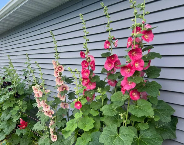 $541,000 | 12615 South Abbey Lake Lane, Detroit Lakes, MN 56501