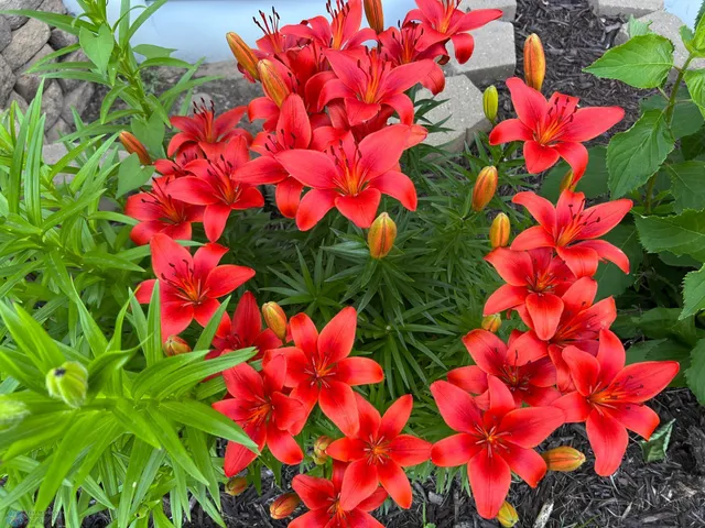 $541,000 | 12615 South Abbey Lake Lane, Detroit Lakes, MN 56501