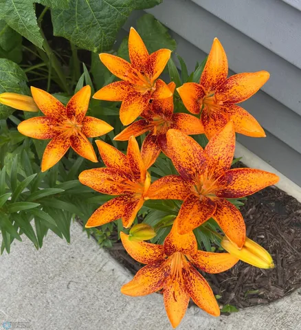 $541,000 | 12615 South Abbey Lake Lane, Detroit Lakes, MN 56501