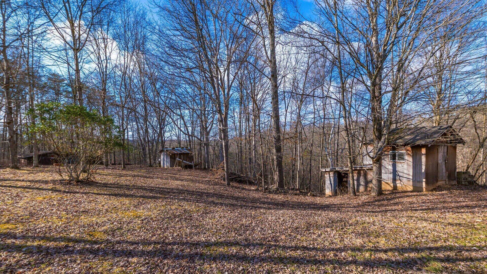 85 Turkey Hollow Road Cutler, OH 45724 - Photo 34 of 45 35-zj 85 Turkey Hollow Rd066-2