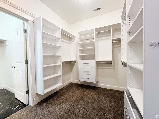 434 Cardon Ridge Drive Smithfield, UT 84335 - Photo 27 of 59 Main Closet with entrance to laundry room