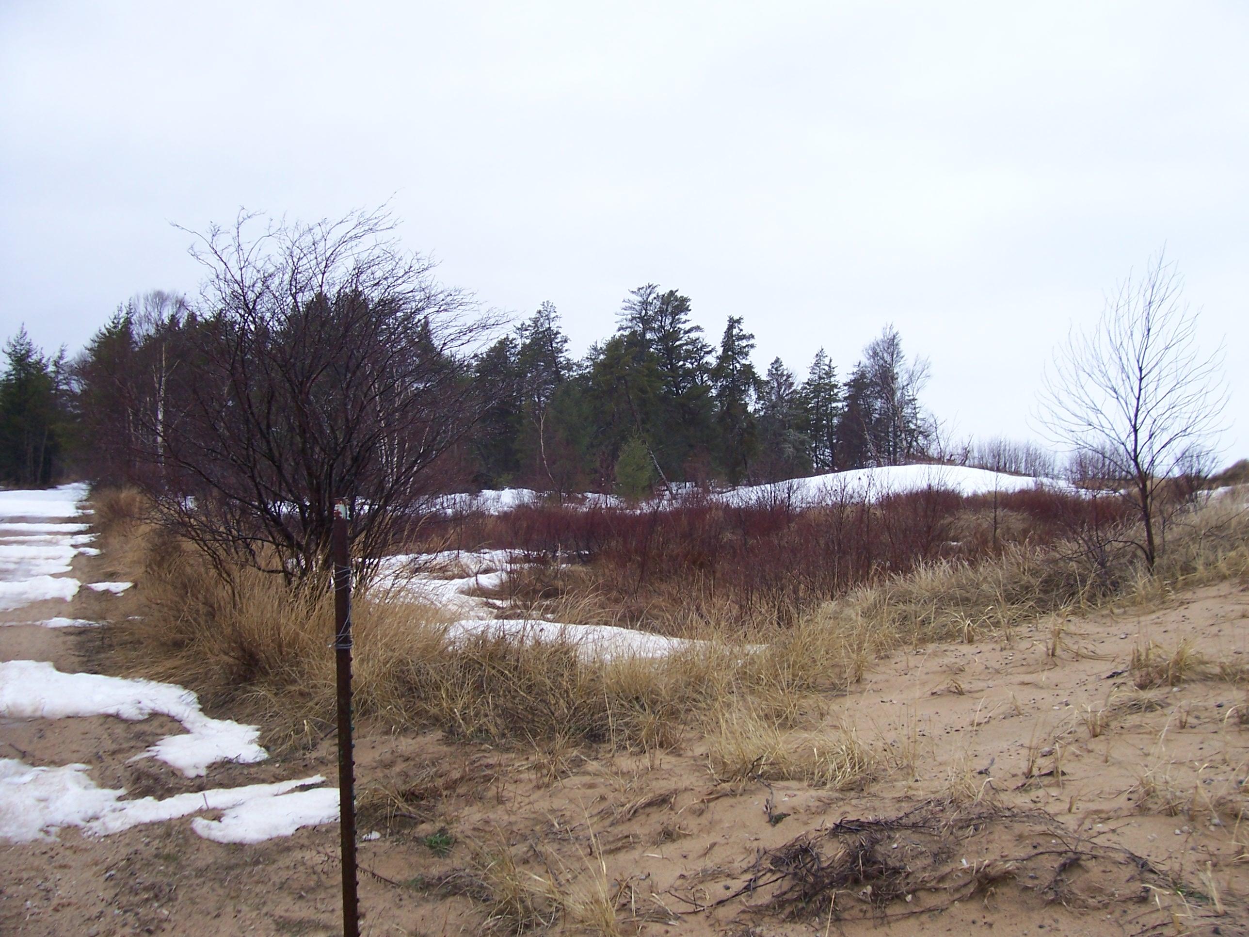 Tbd West Wild Cat Road Paradise, MI 49768 - Photo 2 of 24 Gallery Image 2