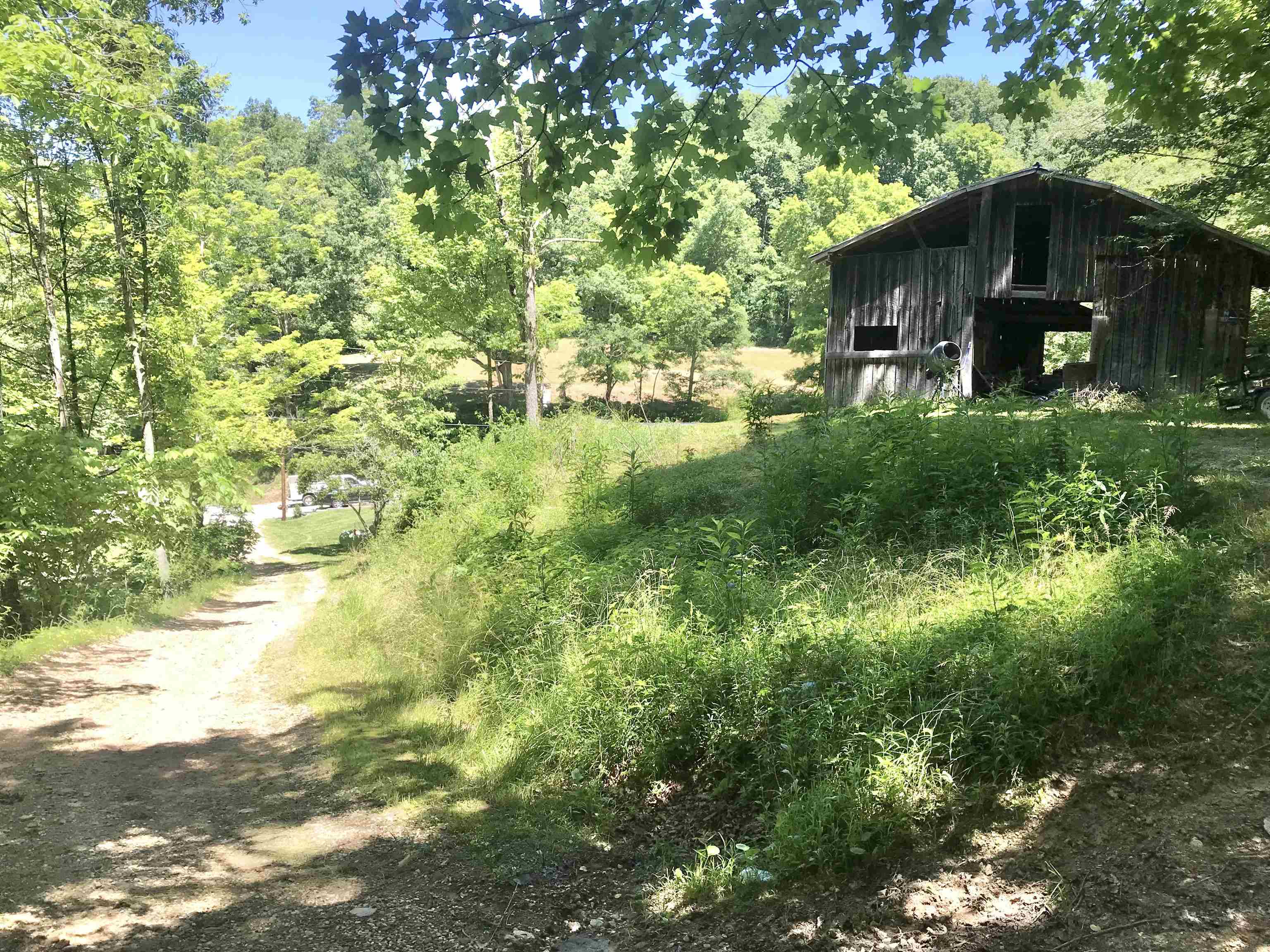 664 Walker Branch Road Morehead, KY 40351 - Photo 39 of 50