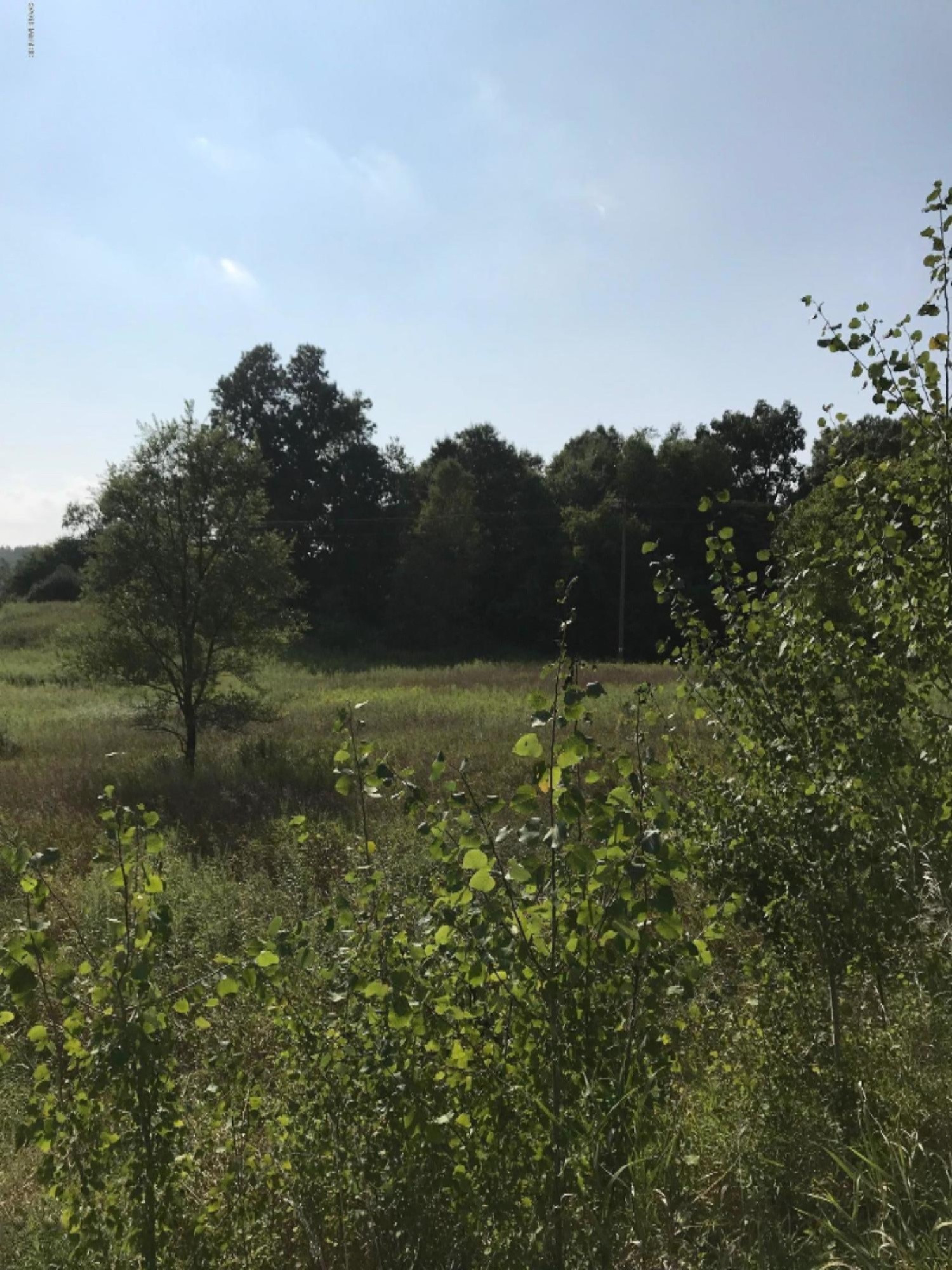 Miller Road Delton, MI 49046 - Photo 1 of 8 IMG_3976