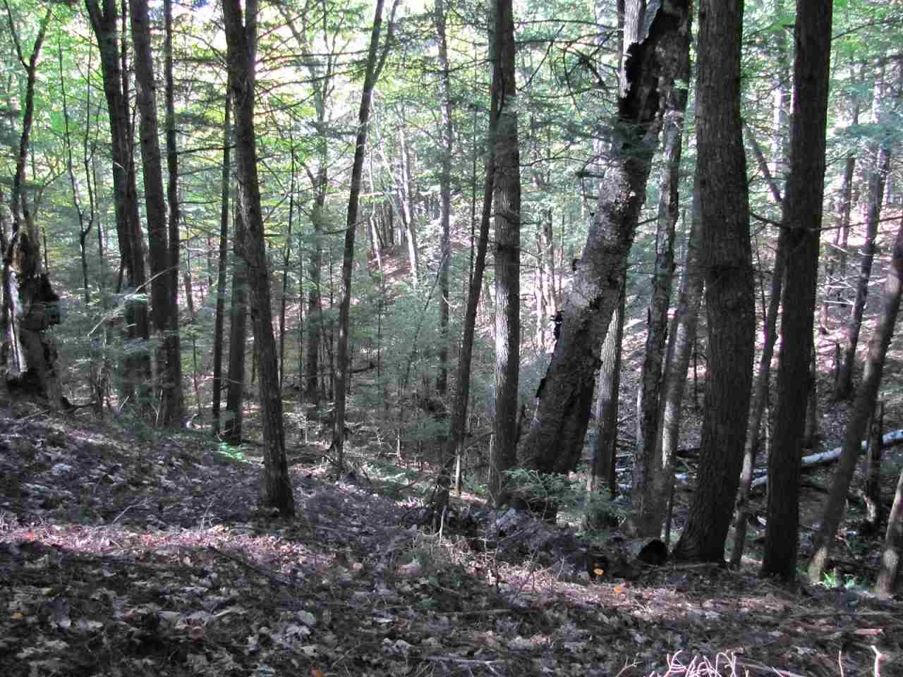 37 Wetherbee Road Lyman, NH 03585 - Photo 3 of 18
