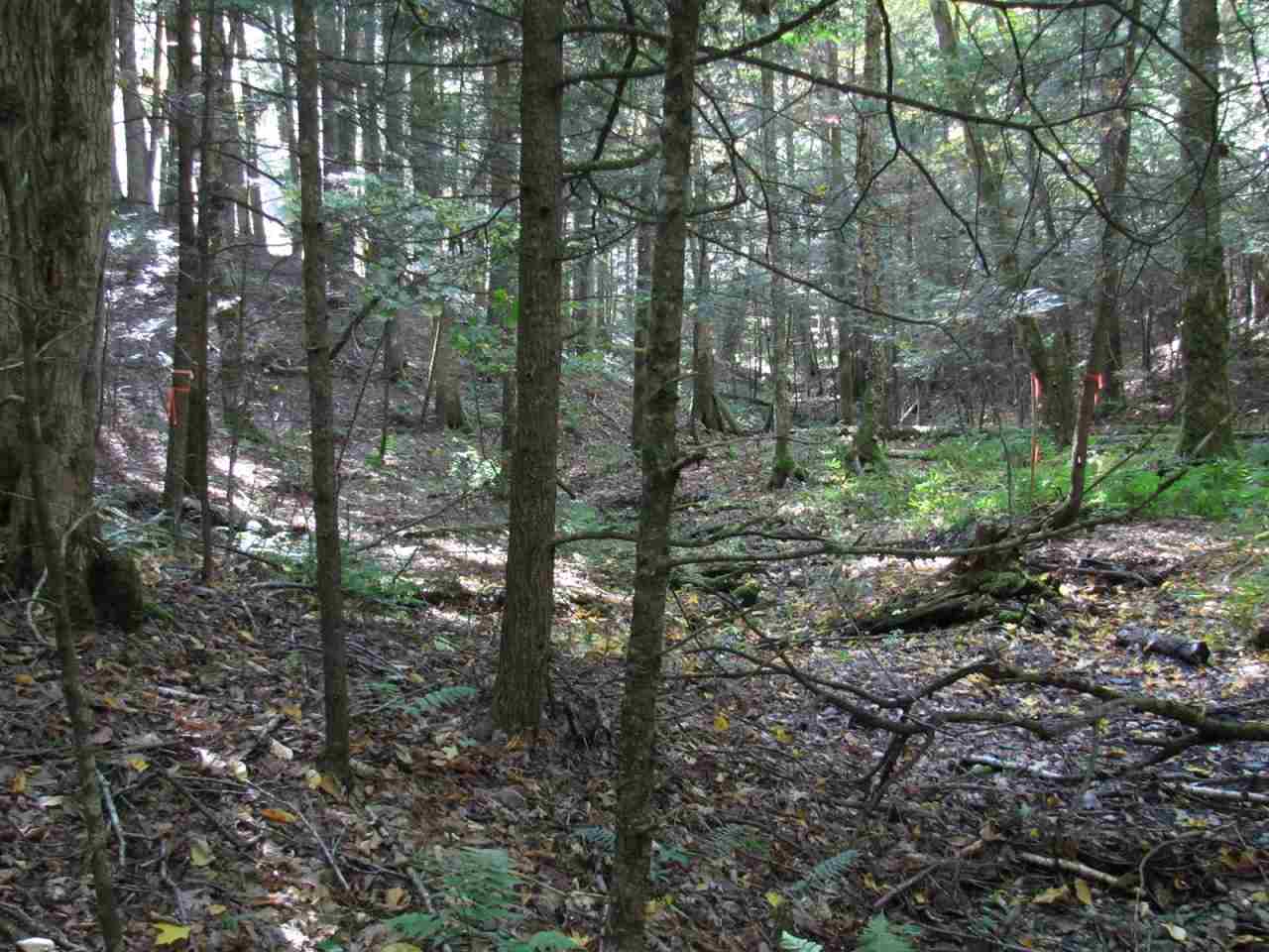 37 Wetherbee Road Lyman, NH 03585 - Photo 8 of 18