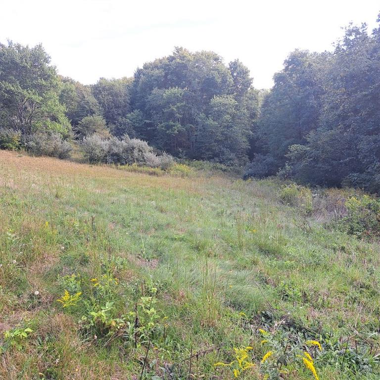 0 Chicora Road Karns City, PA 16041 - Photo 26 of 32 Butler County low taxes