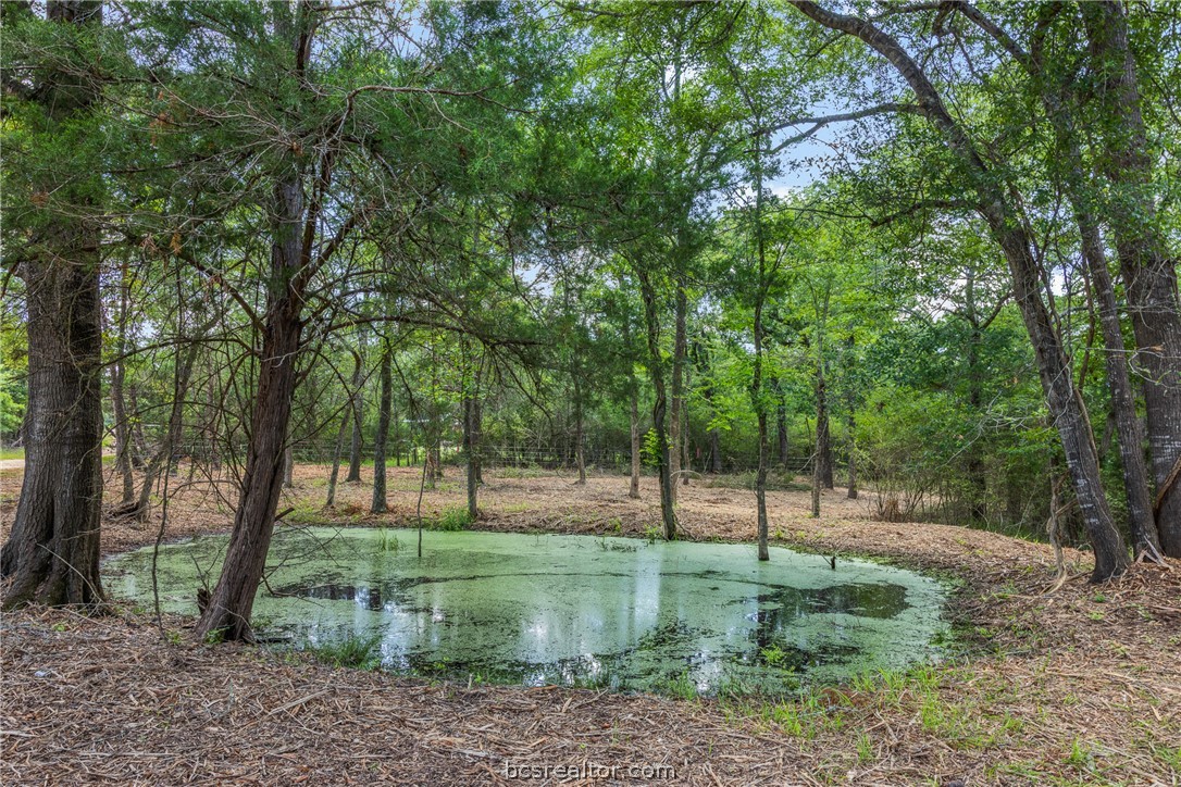 Tbd Weber Road Bryan, TX 77808 - Photo 5 of 43