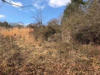 867 Finn Long Road Friendsville, TN 37737 - Photo 2 of 11 Up the slope