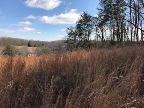 867 Finn Long Road Friendsville, TN 37737 - Photo 11 of 11 Top of the Hill