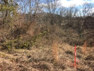867 Finn Long Road Friendsville, TN 37737 - Photo 7 of 11 Panoramic View
