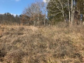 867 Finn Long Road Friendsville, TN 37737 - Photo 8 of 11 Panoramic View