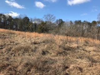 867 Finn Long Road Friendsville, TN 37737 - Photo 9 of 11 Top of the Hill