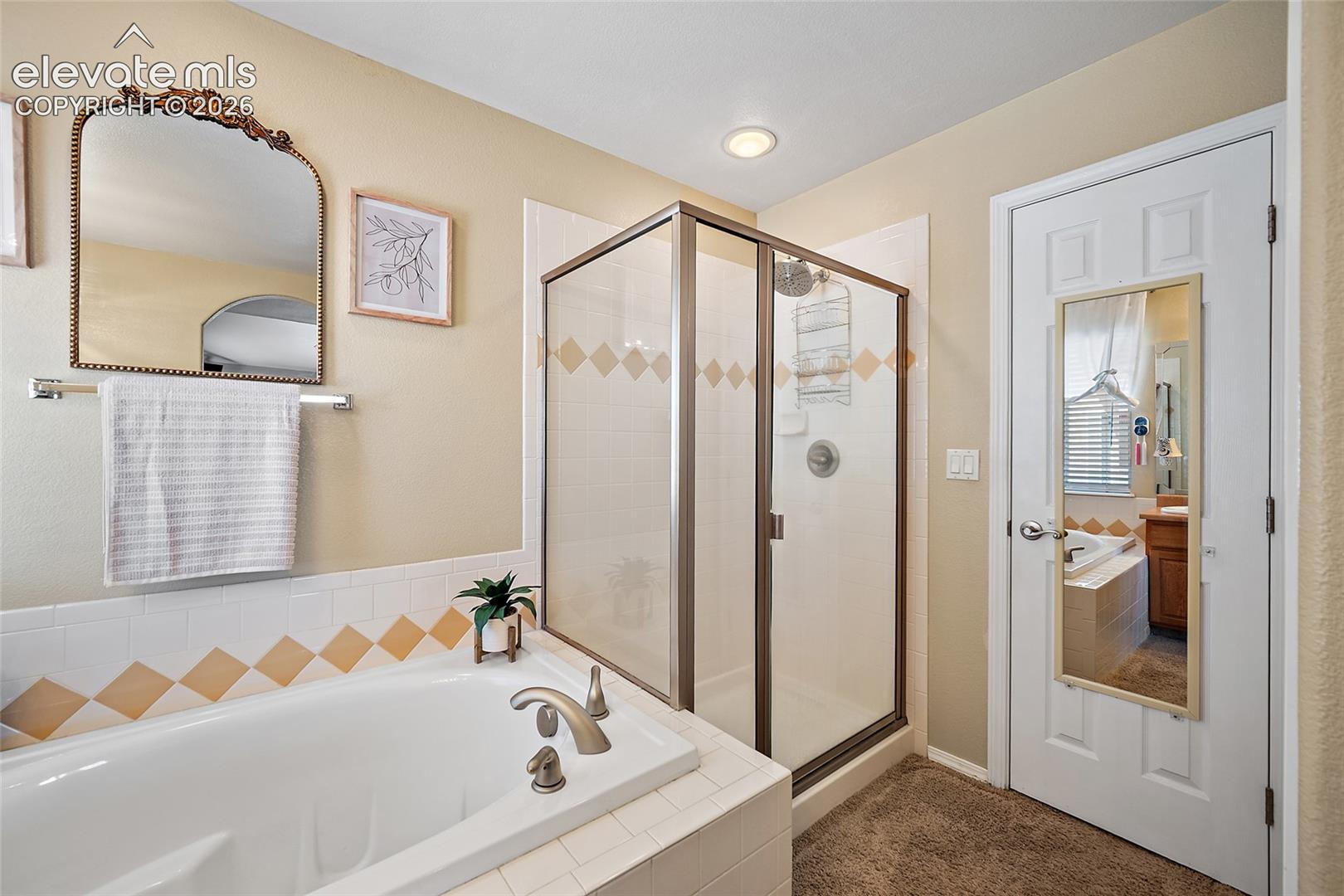 9582 Rockingham Drive Peyton, CO 80831 - Photo 19 of 47 Gallery Image 19