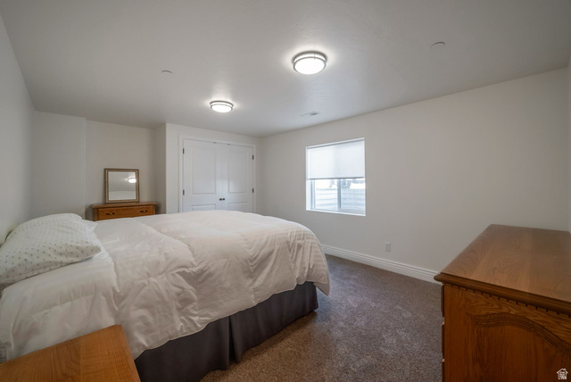 1288 North Horizon View Loop Elk Ridge, UT 84651 - Photo 35 of 40 Bedroom featuring dark carpet and a closet