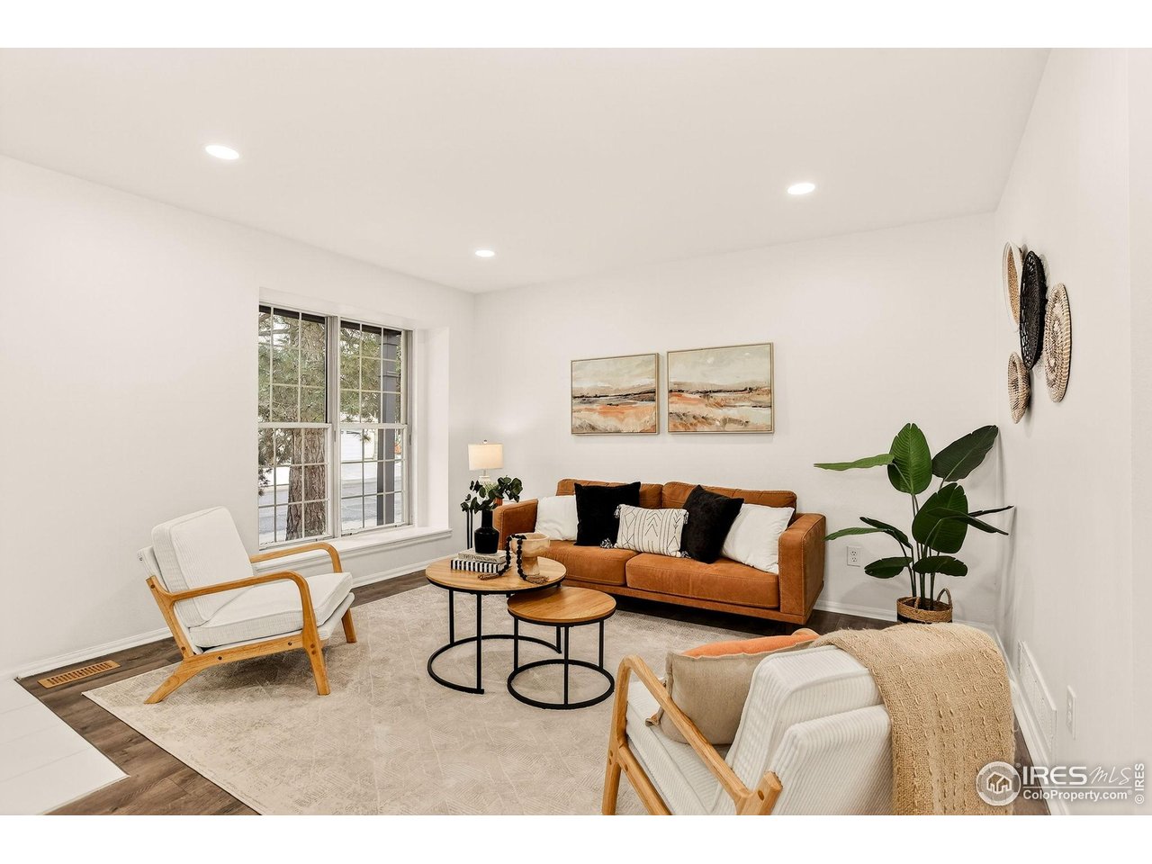 919 Vetch Circle Lafayette, CO 80026 - Photo 9 of 20 a living room with furniture and a potted plant