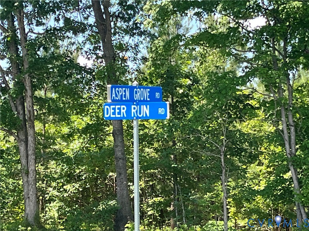 0 Aspen Grove Road Farmville, VA 23901 - Photo 5 of 9