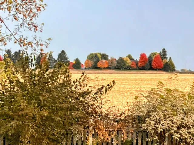 $450,000 | 1126 Arneita Street, Sycamore, IL 60178