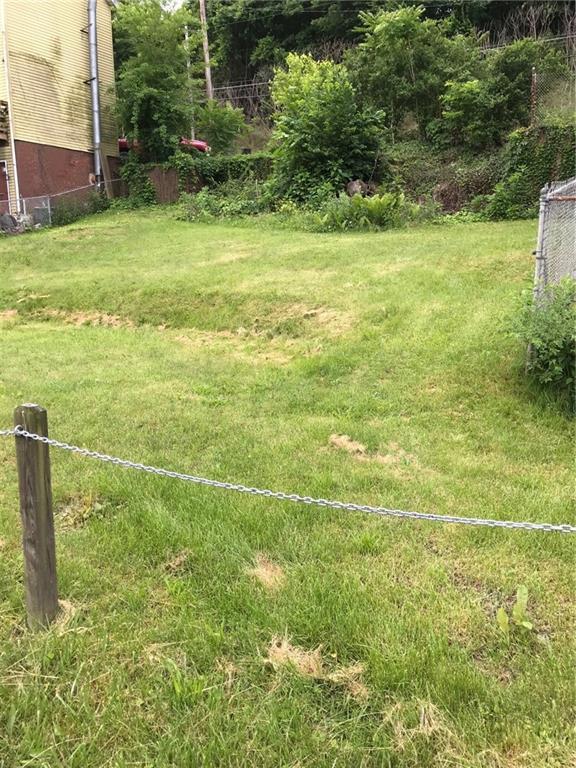 2260 Highway 88 Dunlevy, PA 15432 - Photo 23 of 23 Bottom of lot looking up