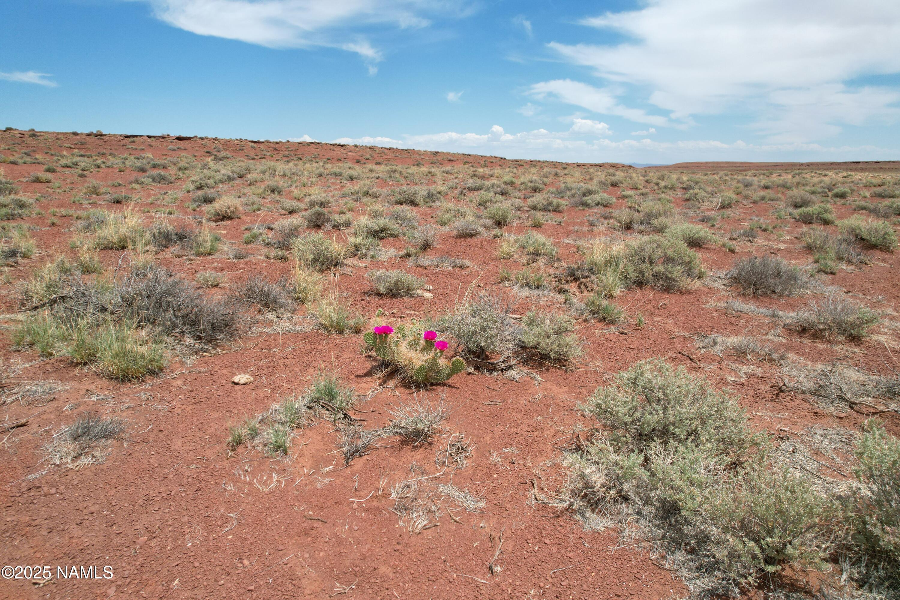 Tbd North Red Gap Ranch Road Winslow, AZ 86047 - Photo 4 of 14 10