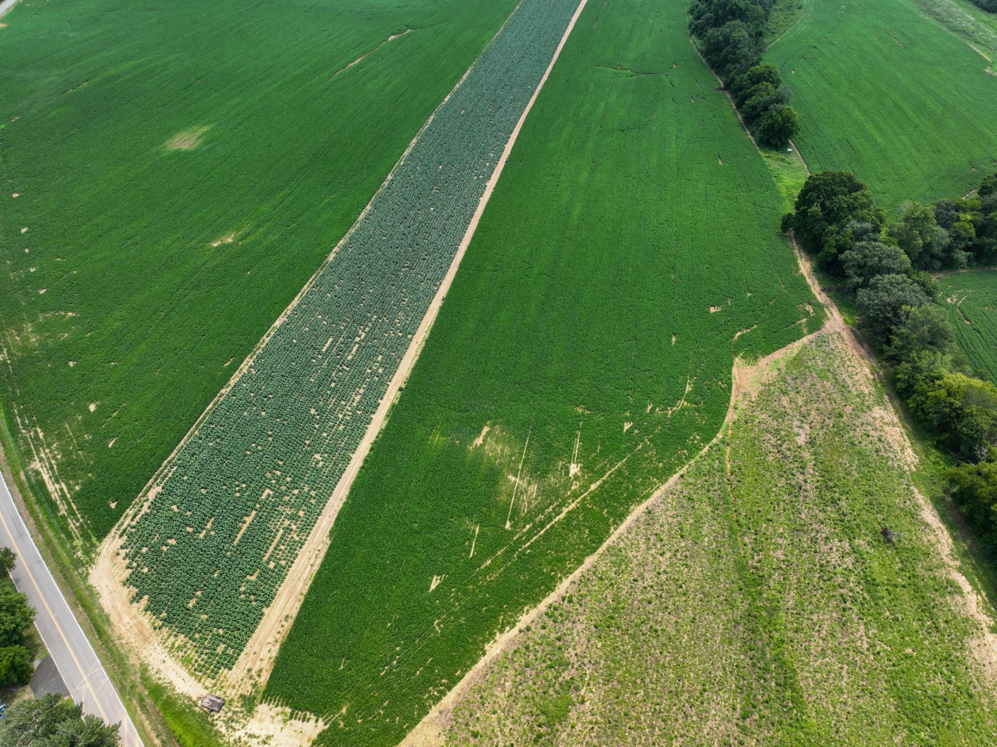 2 Epps Road Southside, TN 37171 - Photo 2 of 4