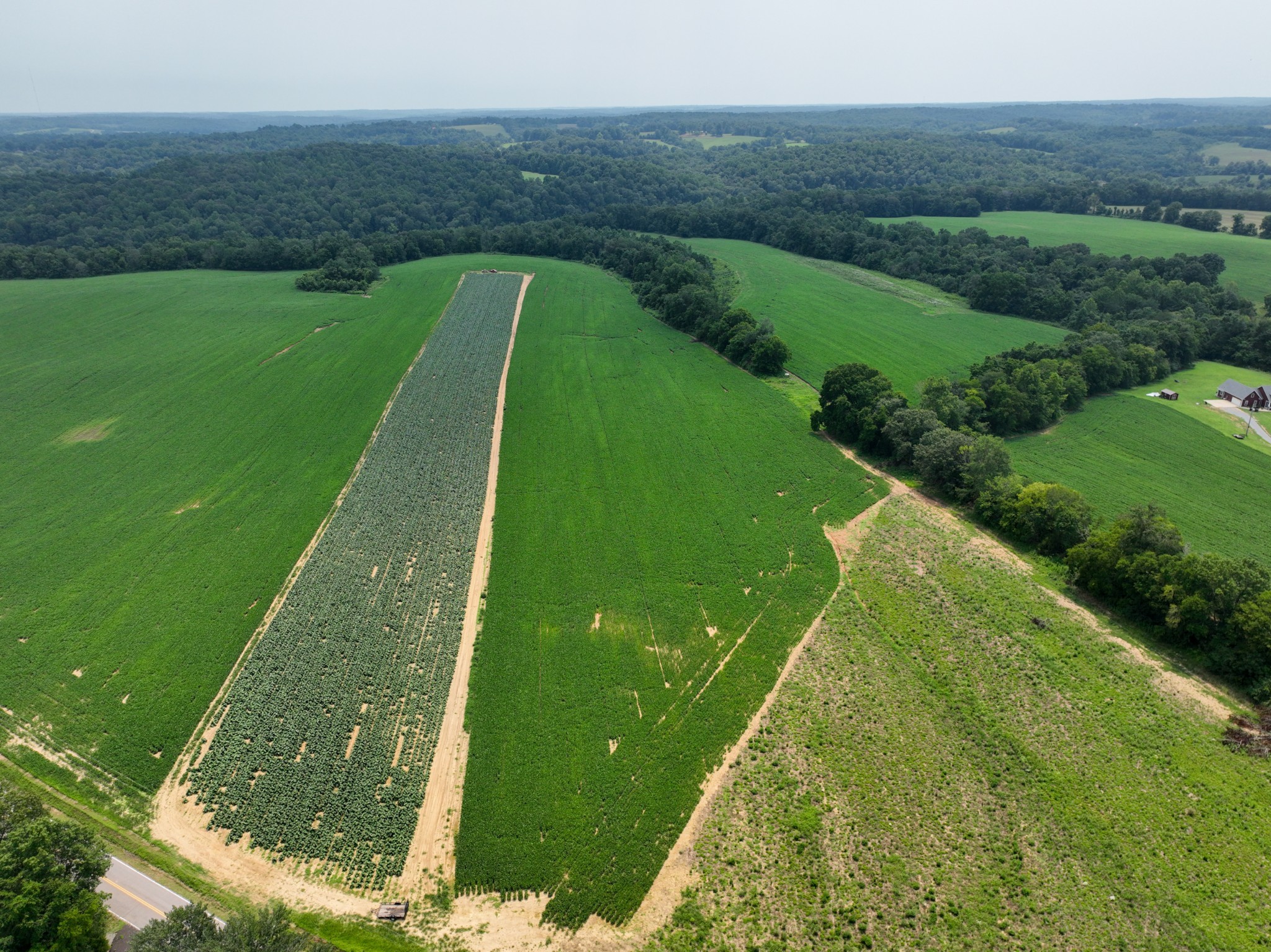 2 Epps Road Southside, TN 37171 - Photo 3 of 4