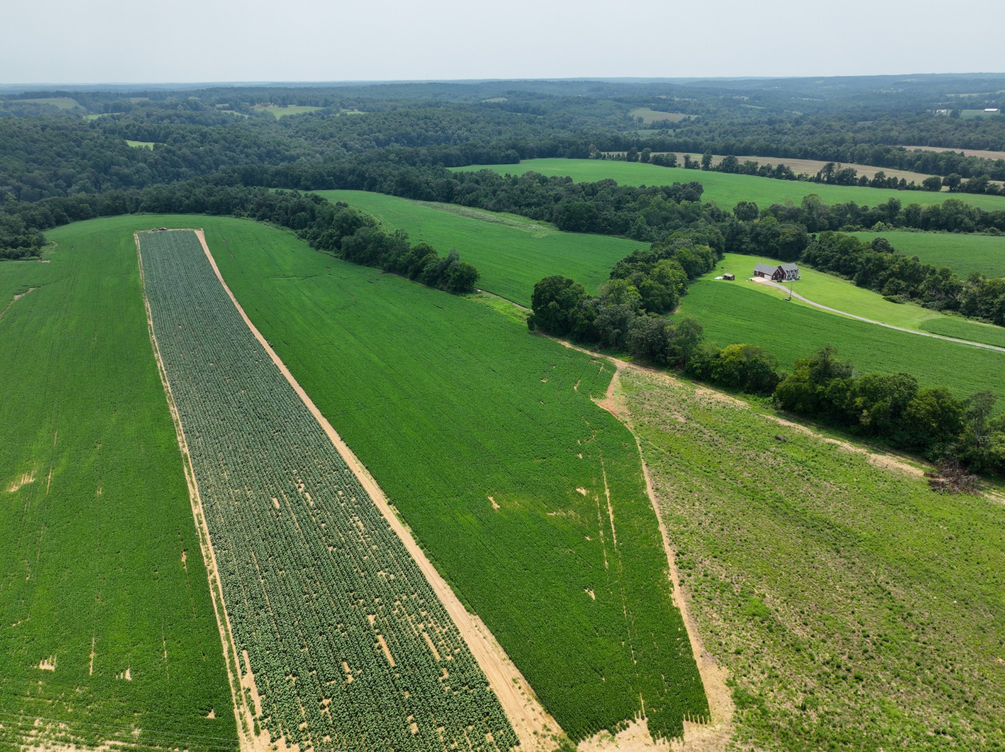 2 Epps Road Southside, TN 37171 - Photo 4 of 4