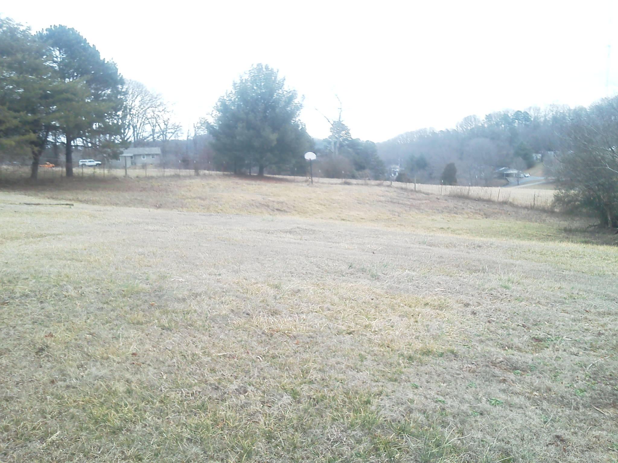 Country View