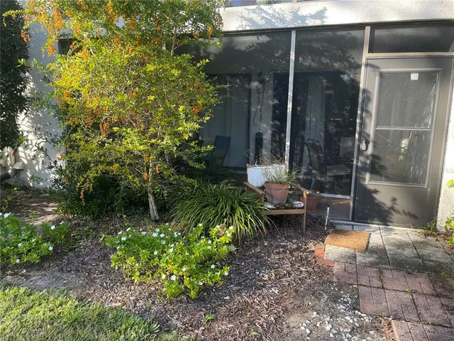 a view of backyard of the house