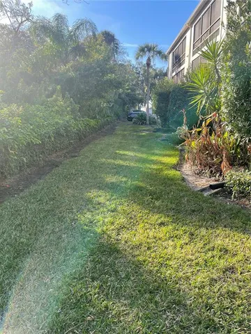 a view of a yard in front of the house