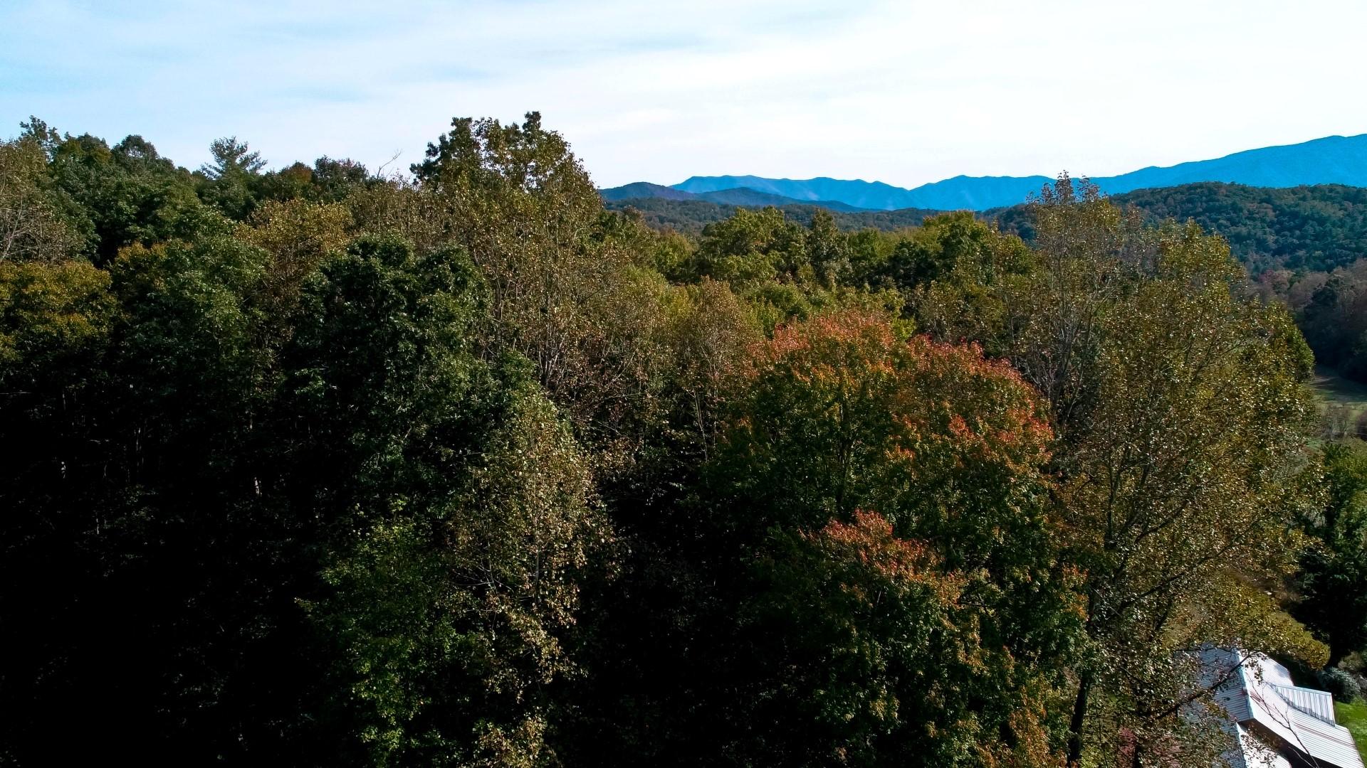 3444 Bogard Road Cosby, TN 37722 - Photo 22 of 31 DJI_0044